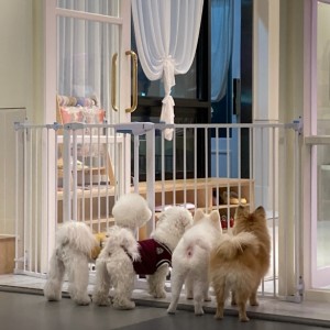 [부산 강서] 오마이구미