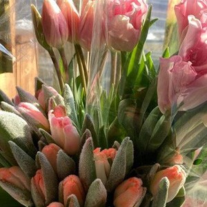 [경기 남양주] 라플로린