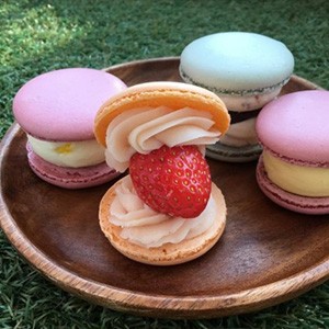 [광주 서구] 헬로우엘