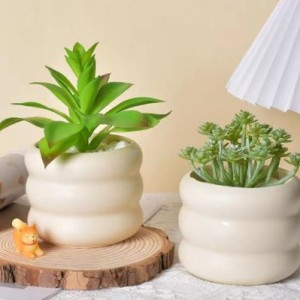 [클립][페이백]공간공감 플랜테리어