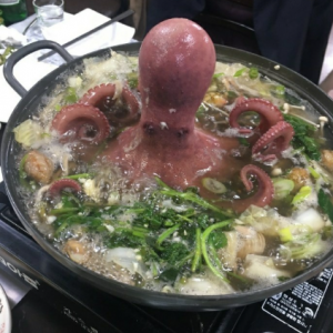 [인천 미추홀] 문어시대 인천주안본점