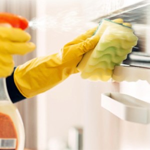 [기자단] 클린세종