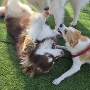 [충남 당진] 더블유