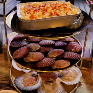 [경남 거제] 조개캉스 거제소노캄지세포점