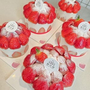 [광주 서구] 페이장