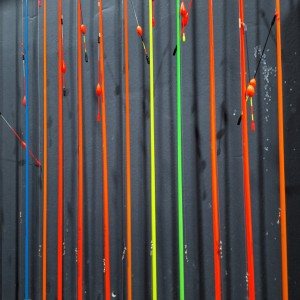 [인천 서구] 대동실내낚시터