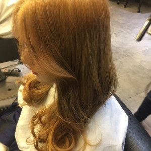 [강원 속초] 비헤어