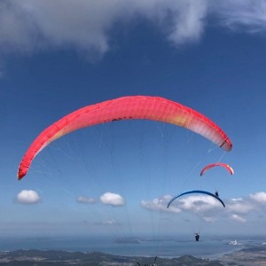 [충남 보령] 대천국가대표패러글라이딩