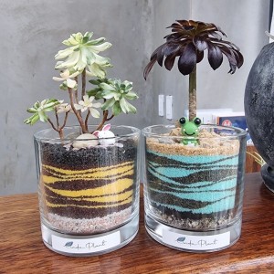 [경북 안동] 린다플랜트