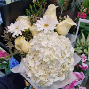 [전북 전주] 썬플라워