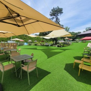 [경기 화성] 댕코리아