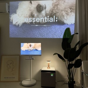 [대전 서구] 가볼만한곳