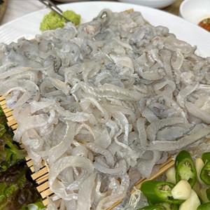 남해즉석횟집 수영팔도시장점