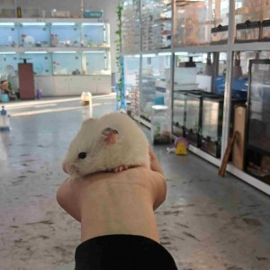 [경남 진주] 와우펫앤쥬 진주점