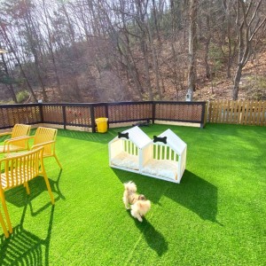 카스텔라269 양평애견펜션 스테이