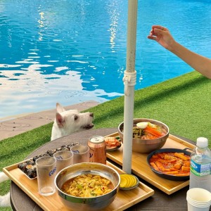 도그플레이풀&셀프바베큐