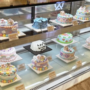 해피베어데이 롯데백화점 평촌점