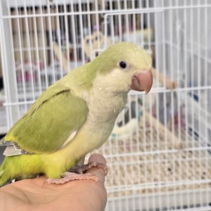 리프패럿 서산점