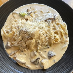 피제리아스텔라레