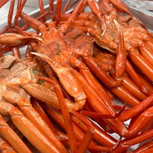 후포 욱이네바다수산