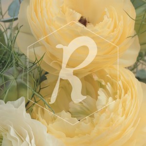 [충북 청주] 알니쥬왁싱