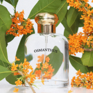 [페이백]벨망본점