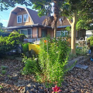 [제주 제주] 엘쿡