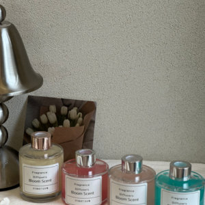 [강원 춘천] 도브제