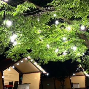 [경기 포천] 백운계곡캠핑장