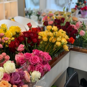 [경기 남양주] 헬로데이지