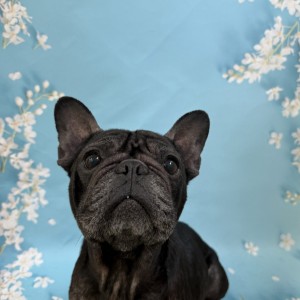 [충북 옥천] 멍마르