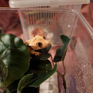 [경기 남양주] 플랜티멀 고주