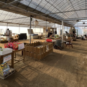 [경기 고양] 찬우물 체험 동물농장