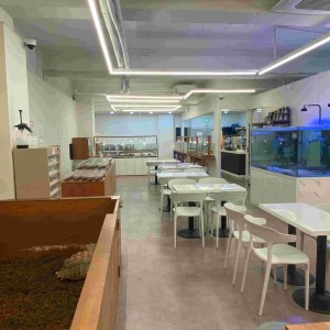 [경남 창원] 파충류샵티라노