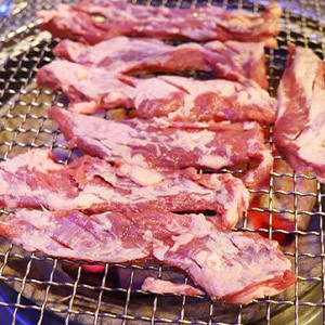 통갈매기바다로날다