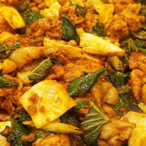 [서울 강남] 춘천닭갈비 생오리 일원동점