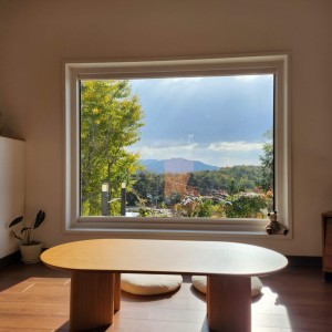 [전남 장성] 펀포레스트