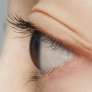 [경남 창원] 예다움