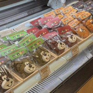 [경기 수원] 해피베어데이 AK플라자 수원