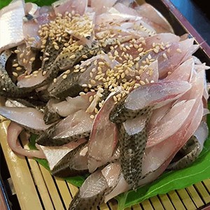 [서울 광진] 독도수산