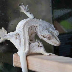 [전남 순천] 태산렙타일