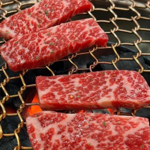 [제주 제주] 수문미트