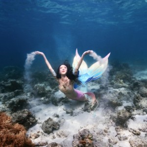 [서울 강동] 겟잇다이브