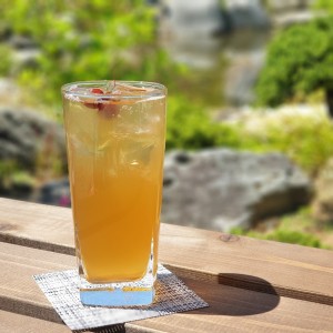 [강원 강릉] 서지초가뜰