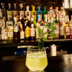 [서울 용산] 카브론