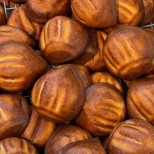 [서울 동대문] 헤비베어