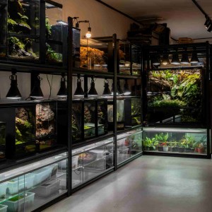 [경기 부천] 나무일기