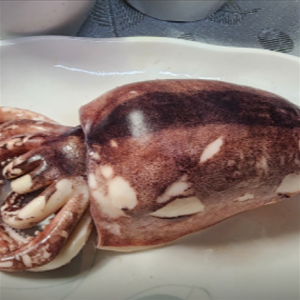 [경북 울릉] 명가식당