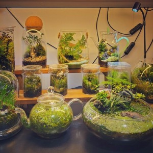 [경기 남양주] 휴 식물디자인샵