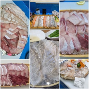 [인천 연수] 어항